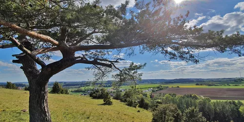 Schanzberg, Foto: Katja Schumann